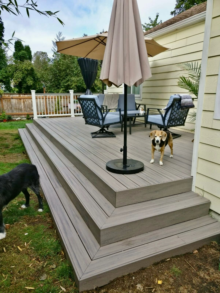 New Deck for Susan and Doris, the Dogs